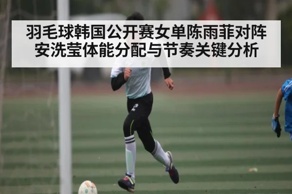 羽毛球韩国公开赛女单陈雨菲对阵安洗莹体能分配与节奏关键分析